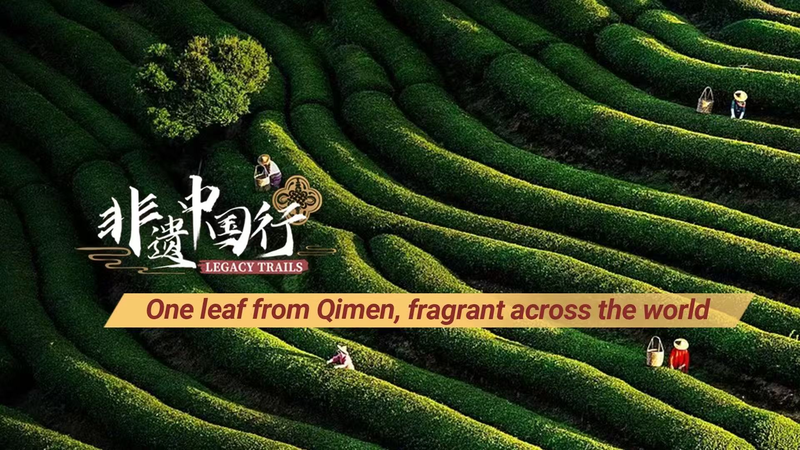 Qimen: el té negro que fusiona tradición y tecnología video poster
